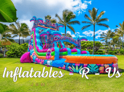 Screenshot202025 07 2320120604 1753290444 18ft Maui Wowi Dual Lane Slide