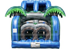 tidal wave inflatable obstacle course thumb 1764988763 Tidal Waves