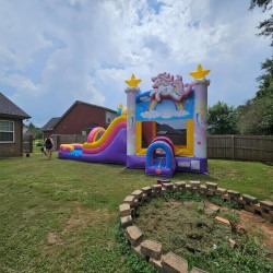 unicorn combo202 1771631520 Rarity